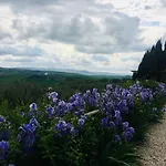 A440 In Tuscany 3* ピエンツァ